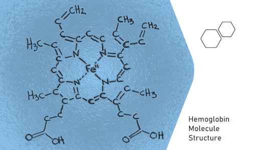 Heme molecule in hemoglobin has iron atom