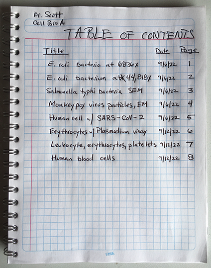 lab report example biology